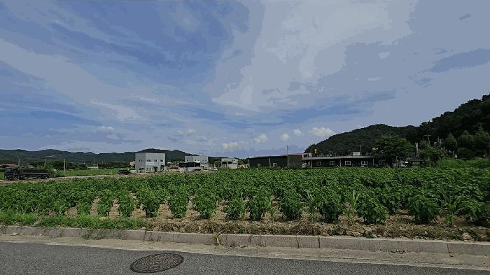 충청북도 충주시 대소원면 대소리 27-1 답 경매 사진 4