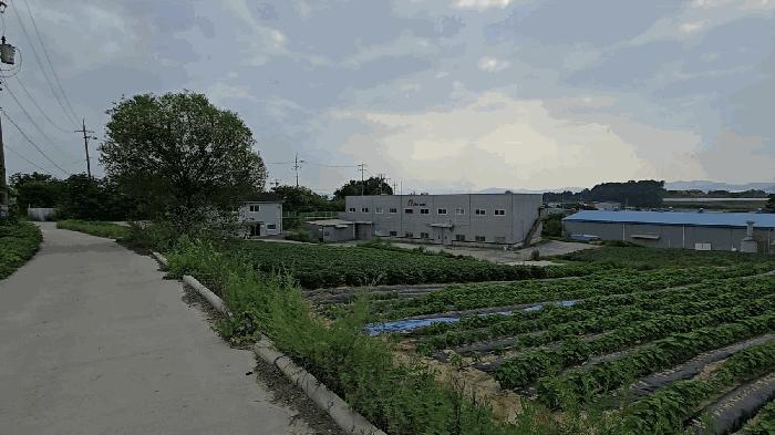 충청북도 음성군 금왕읍 사창리 119 공장 경매 사진 1