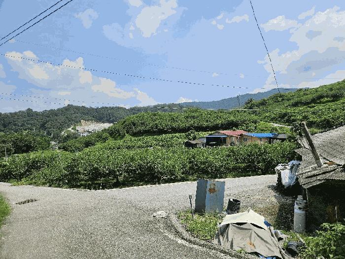 충청북도 음성군 감곡면 오향리 165 주택 경매 사진 10