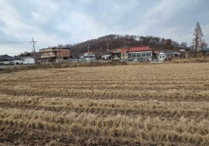 충청남도 아산시 영인면 신화리 425-2 전 경매 사진 12