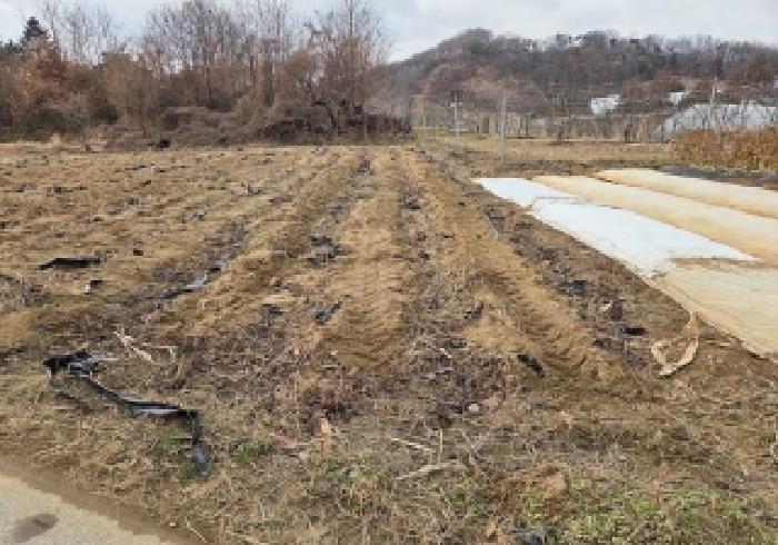 충청남도 아산시 영인면 신화리 425-2 전 경매 사진 17