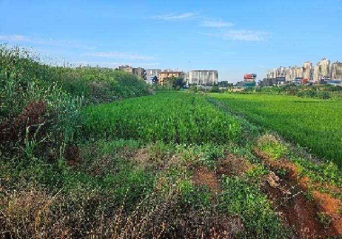 경기 평택시 답