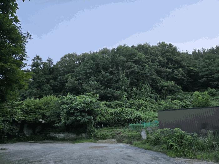 경상북도 포항시 북구 우현동 9-4 전 경매 사진 3