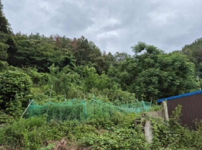 경상북도 포항시 북구 우현동 9-4 전 경매 사진 8