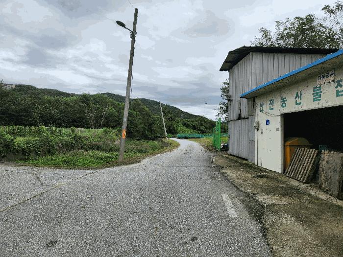 충청북도 충주시 앙성면 용대리 315-8 답 경매 사진 12