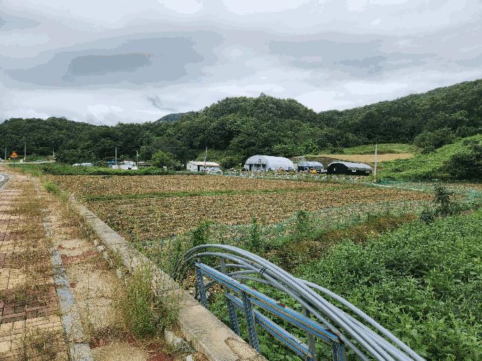 충청북도 충주시 앙성면 돈산리 177-6 전 경매 사진 3
