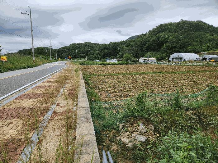 충청북도 충주시 앙성면 돈산리 177-6 전 경매 사진 7