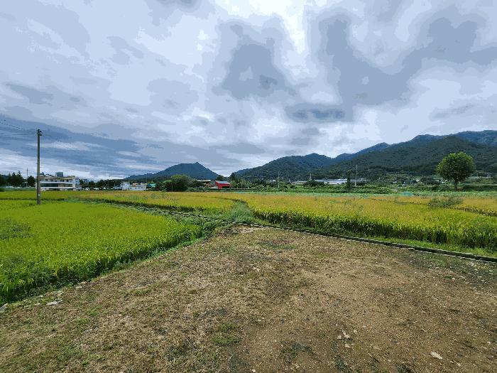 충청북도 충주시 앙성면 돈산리 122 답 경매 사진 8