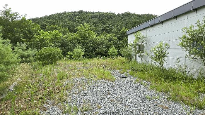 충청남도 천안시 동남구 성남면 신사리 520-20 대지 경매 사진 12