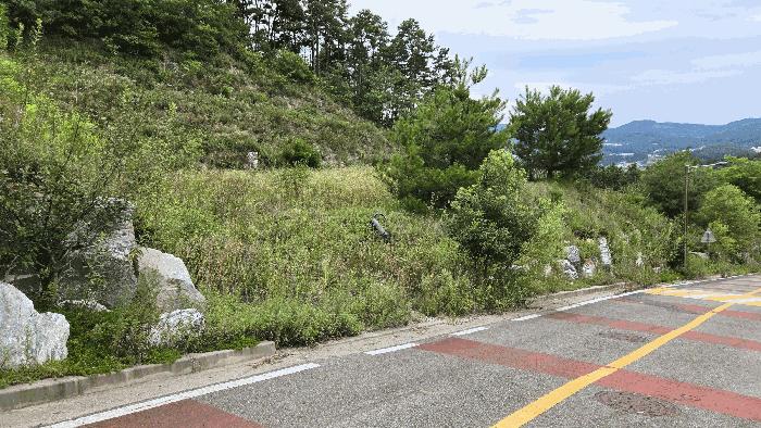 충청남도 천안시 동남구 성남면 신사리 520-20 대지 경매 사진 13