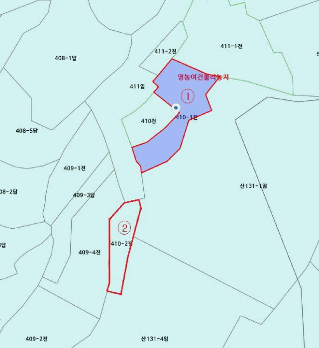 경기도 평택시 안중읍 용성리 410-1 전 경매 사진 19