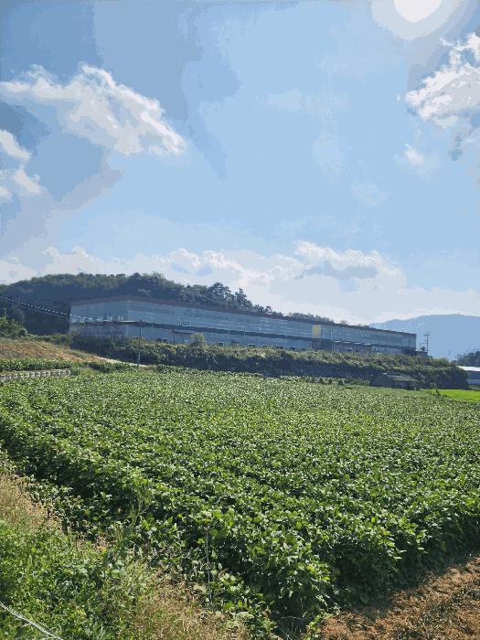 충청북도 충주시 주덕읍 당우리 829-9 공장 경매 사진 1