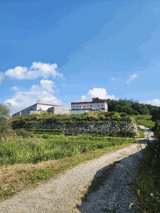충청북도 충주시 주덕읍 당우리 829-9 공장 경매 사진 10