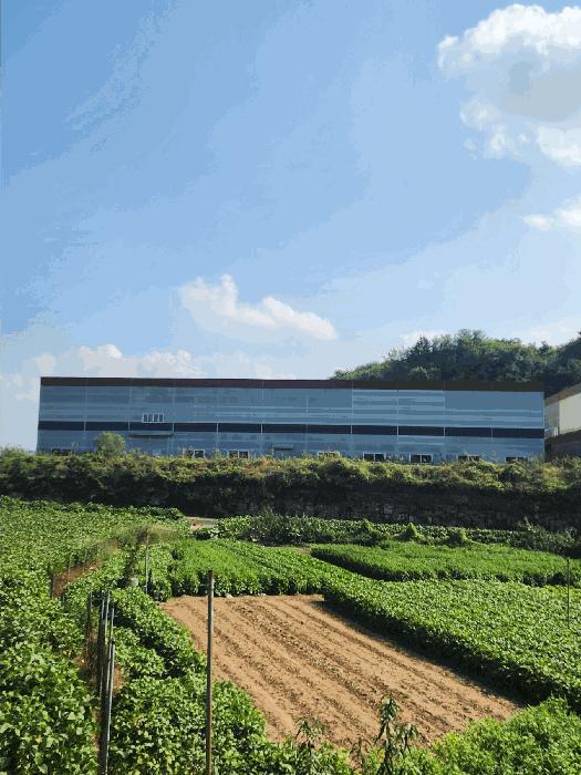 충청북도 충주시 주덕읍 당우리 829-9 공장 경매 사진 5