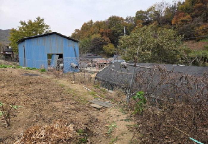 충청남도 아산시 송악면 마곡리 71 답 경매 사진 13