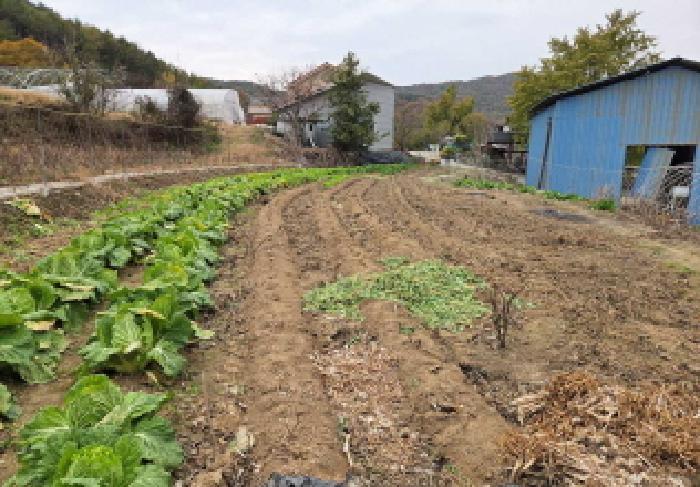 충청남도 아산시 송악면 마곡리 71 답 경매 사진 14
