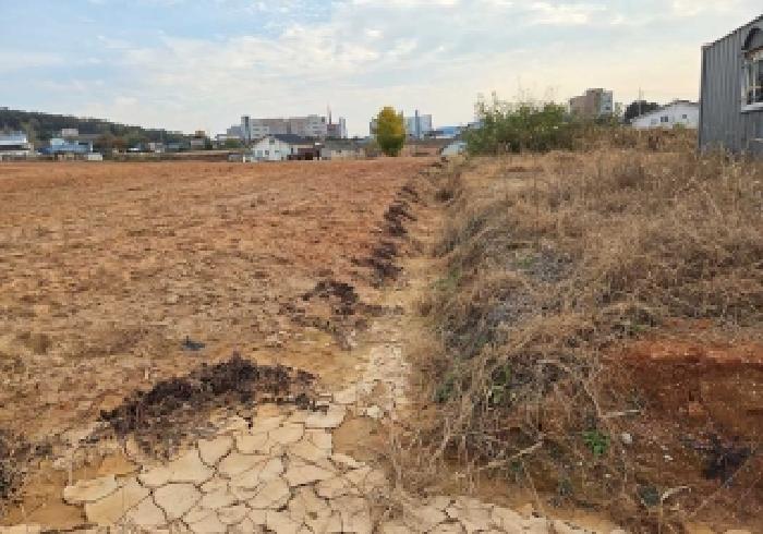 충청남도 천안시 서북구 성환읍 성월리 214-2 과수원 경매 사진 12