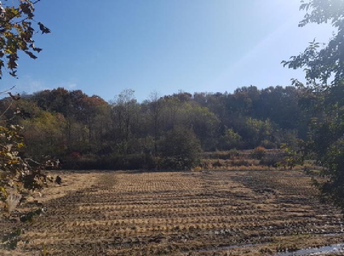 충청남도 천안시 동남구 수신면 해정리 288 전 경매 사진 7