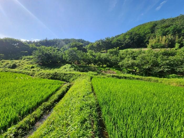 경상남도 사천시 사천읍 금곡리 316-2 대지 경매 사진 15