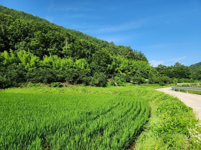 경상남도 사천시 사천읍 금곡리 316-2 대지 경매 사진 16