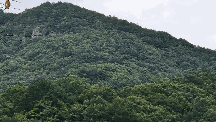 전라남도 구례군 토지면 내동리 293 대지 경매 사진 6