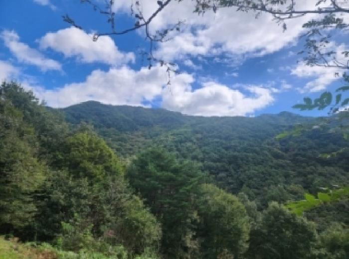 전라남도 구례군 토지면 내동리 160 답 경매 사진 20