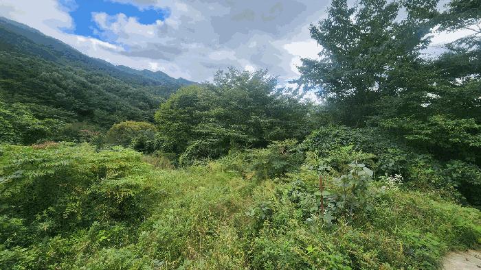 전라남도 구례군 토지면 내동리 1071 전 경매 사진 4