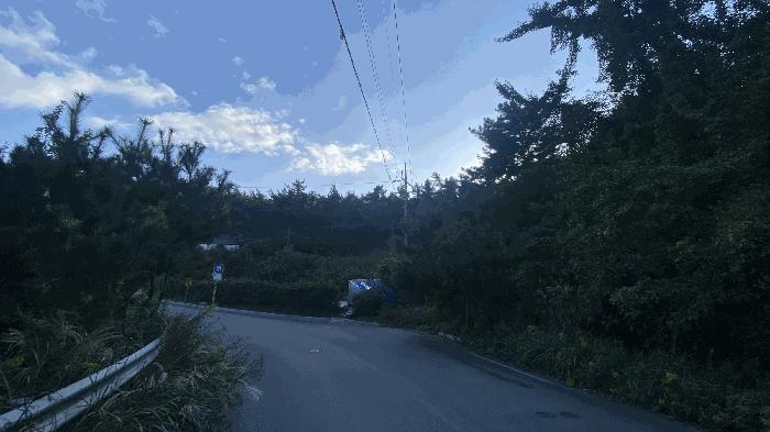 전라남도 목포시 달동 산210-1 임야 경매 사진 2