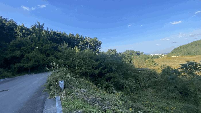 전라남도 목포시 달동 산210-1 임야 경매 사진 3