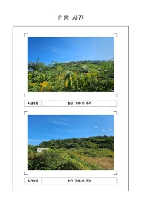 전라남도 목포시 달동 산210-1 임야 경매 사진 5