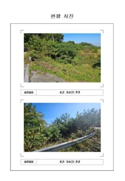 전라남도 목포시 달동 산210-1 임야 경매 사진 6
