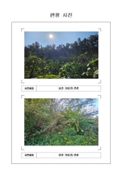 전라남도 목포시 달동 산210-1 임야 경매 사진 8
