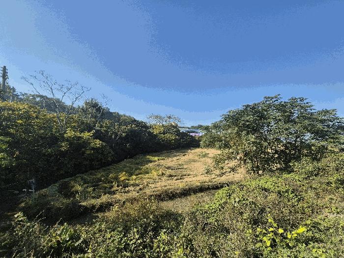 전라남도 신안군 압해읍 장감리 406 답 경매 사진 2