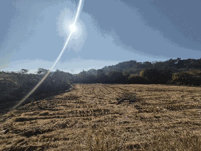전라남도 신안군 압해읍 장감리 406 답 경매 사진 3