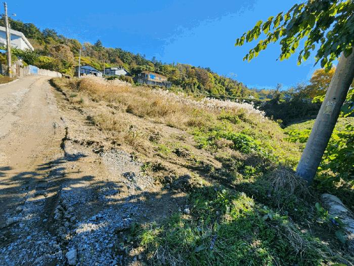 전라남도 무안군 무안읍 성동리 743-1 전 경매 사진 1