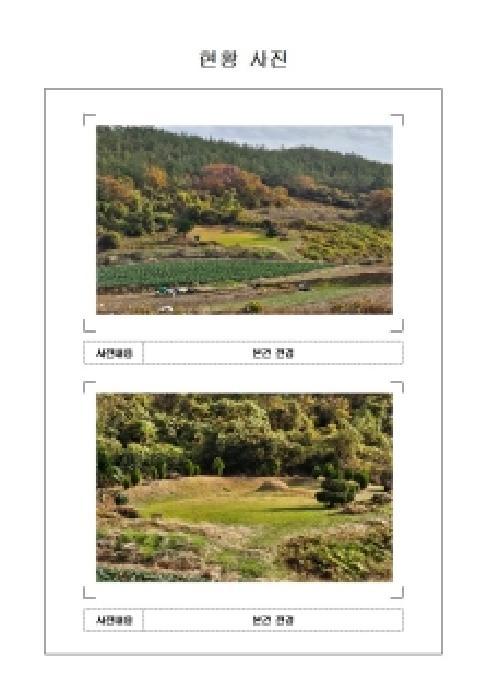 전라남도 신안군 지도읍 봉리 385-1 전 경매 사진 6
