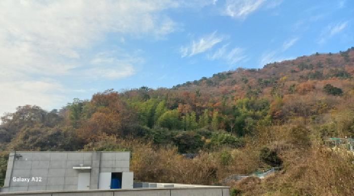 경상남도 거제시 연초면 송정리 729-1 임야 경매 사진 17
