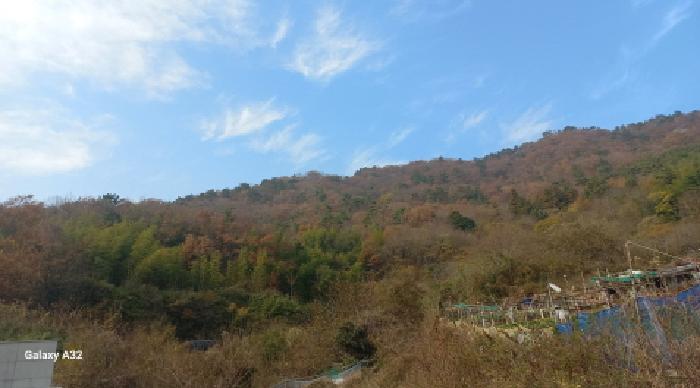 경상남도 거제시 연초면 송정리 729-1 임야 경매 사진 18