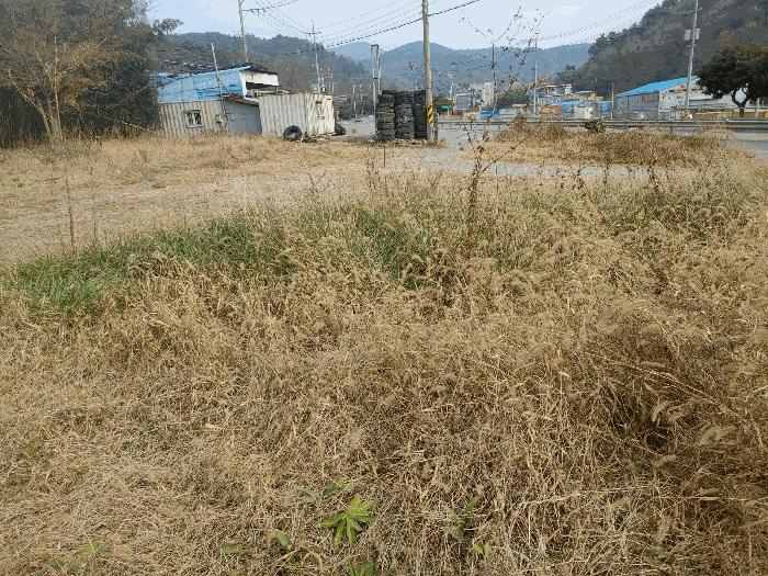 경상남도 거제시 연초면 송정리 729-1 임야 경매 사진 7