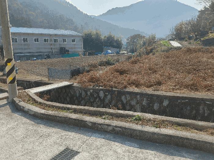 경상남도 거제시 연초면 송정리 729-1 임야 경매 사진 8