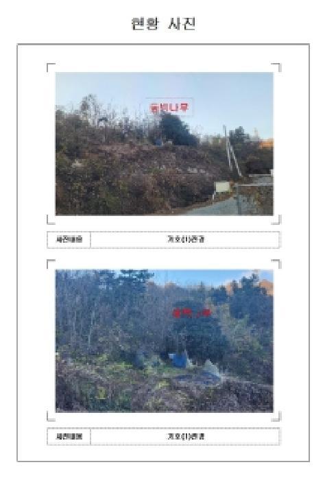 전라남도 무안군 삼향읍 남악리 276 임야 경매 사진 4