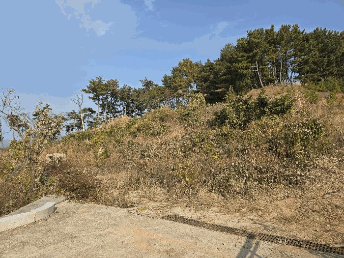 경상남도 거제시 임야