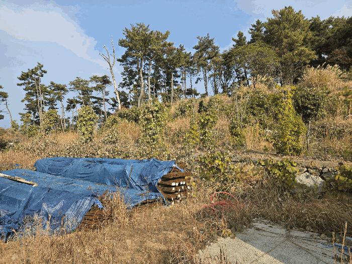 경상남도 거제시 동부면 오송리 산46-2 임야 경매 사진 6