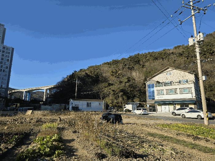 경상남도 거제시 덕포동 산114 임야 경매 사진 2