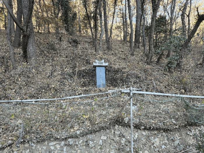 경상남도 거제시 덕포동 산114 임야 경매 사진 4