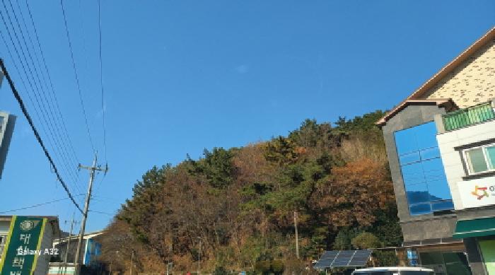 경상남도 거제시 덕포동 산114 임야 경매 사진 5