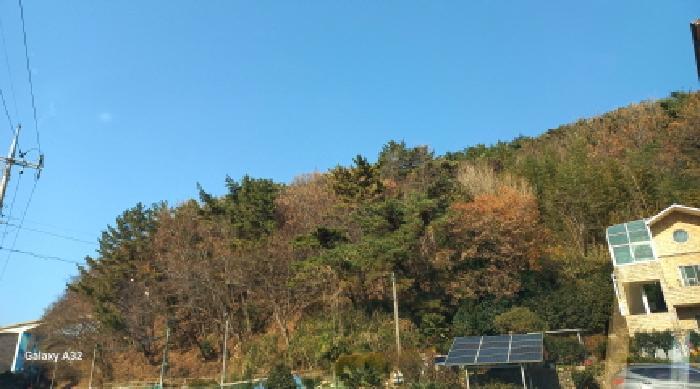 경상남도 거제시 덕포동 산114 임야 경매 사진 6