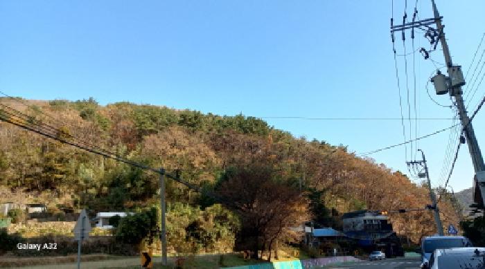 경상남도 거제시 덕포동 산114 임야 경매 사진 7