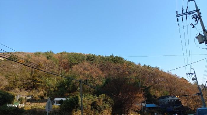 경상남도 거제시 덕포동 산114 임야 경매 사진 8