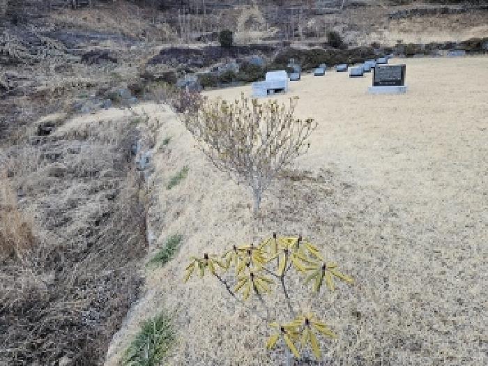 경상남도 하동군 청암면 중이리 658-1 주택 경매 사진 16